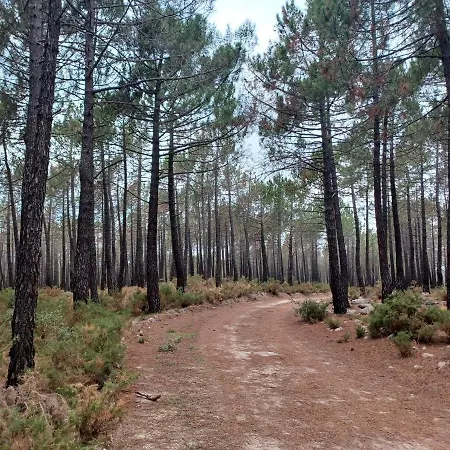 Alpesi faház La Vieja Escuela *