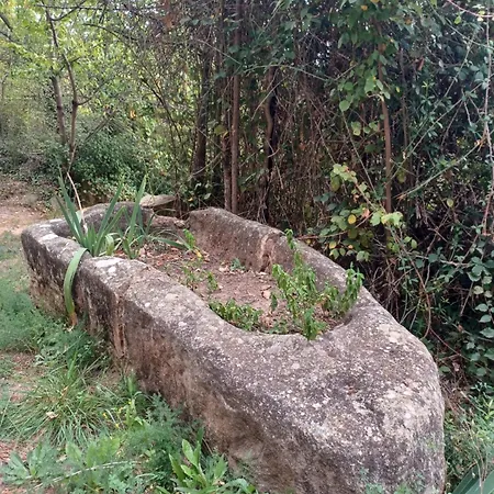La Vieja Escuela