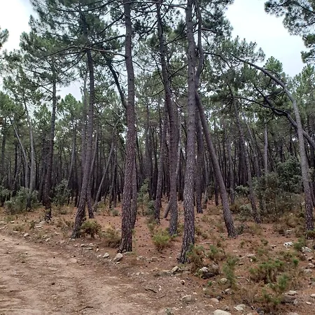 La Vieja Escuela Alpesi faház *