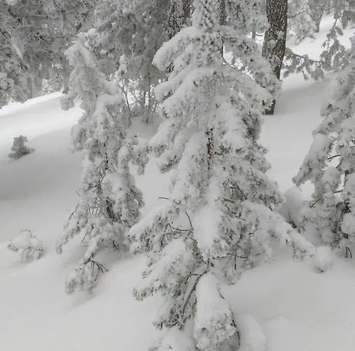 La Vieja Escuela Alpstuga Fuentes de Rubielos
