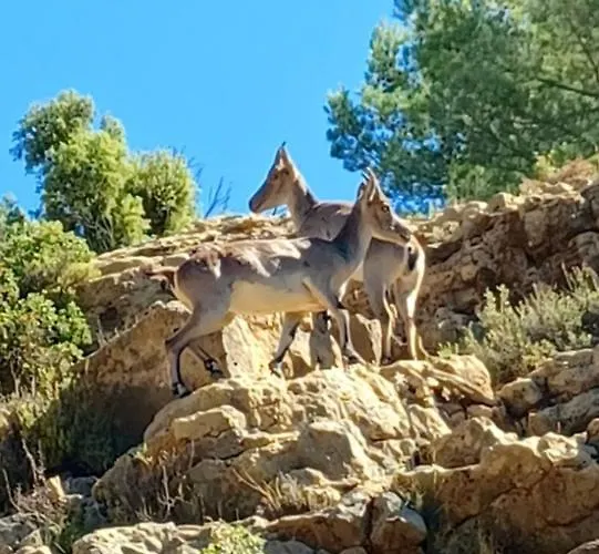Alpstuga La Vieja Escuela