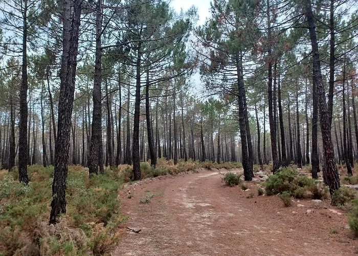 Alpstuga La Vieja Escuela *