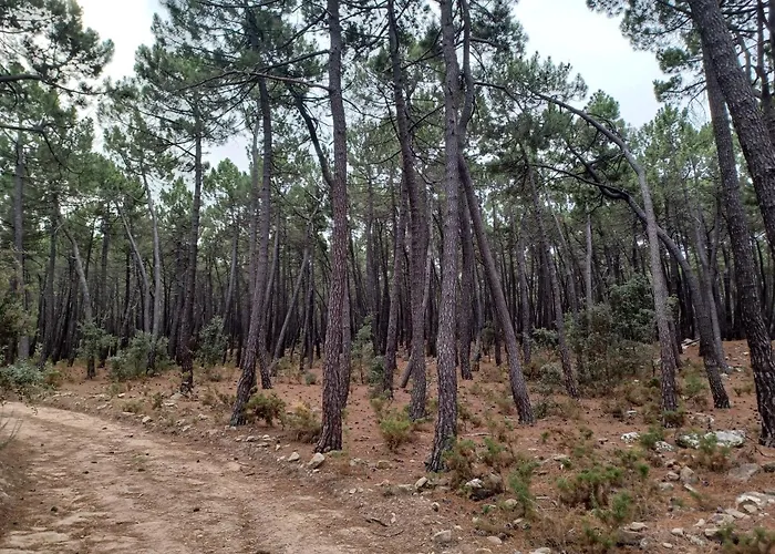 La Vieja Escuela Alpstuga *